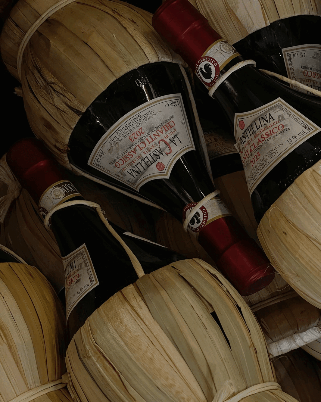 TUSCANY IN SEPTEMBER LIGHT